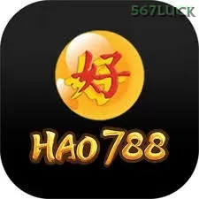 hao788 - 5